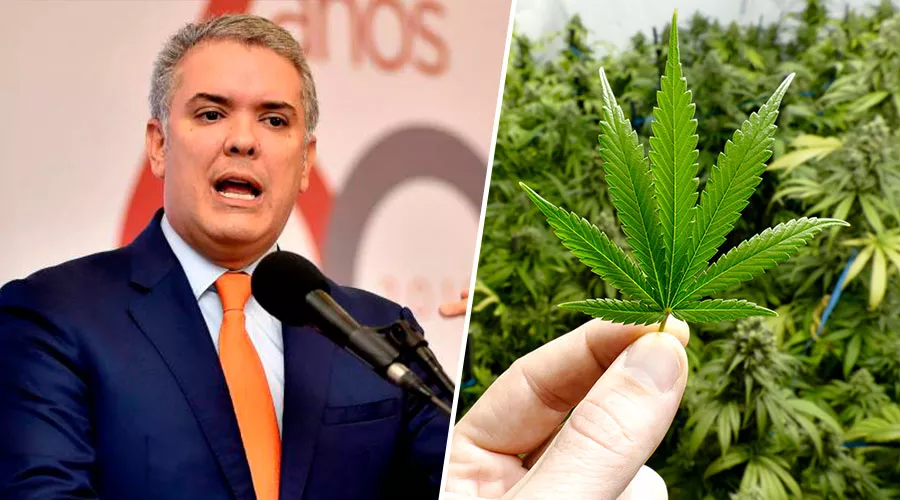 Cannabis Colombia autorizó el uso industrial para alimentos bebidas y