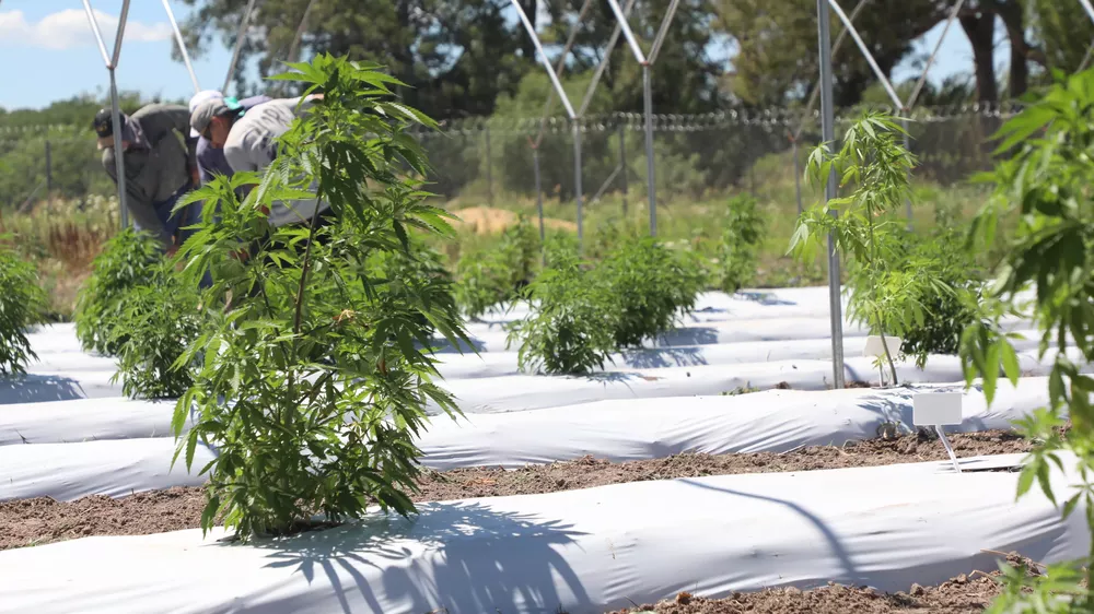 2022-11-28NID_276732O_3