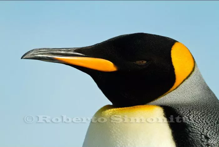 29062859_1544444858938491_6585783971286614016_n