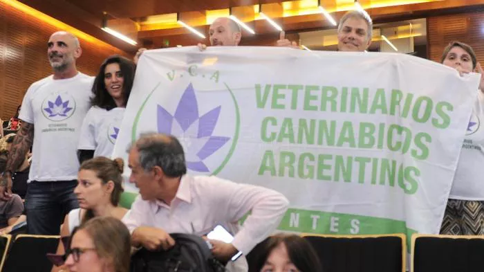 cannabis-veterinarios