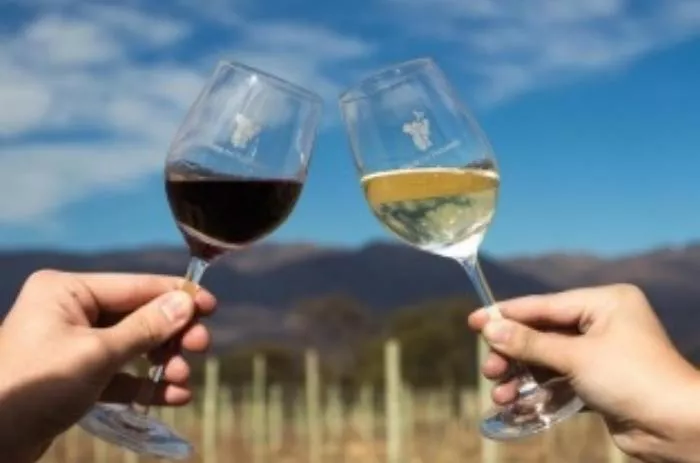 Vinos argentinos récord histórico de exportaciones