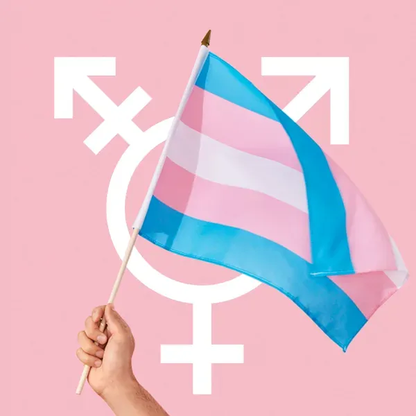 dia-trans