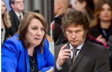 fein-milei