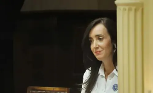 vice-senado