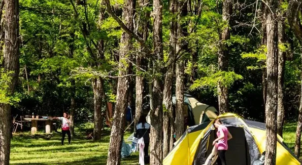 carpa-camping