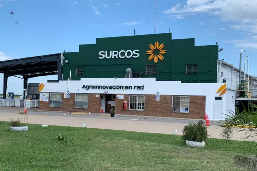 foto surcos