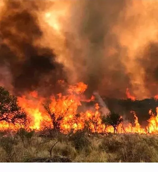 incendios-islas4