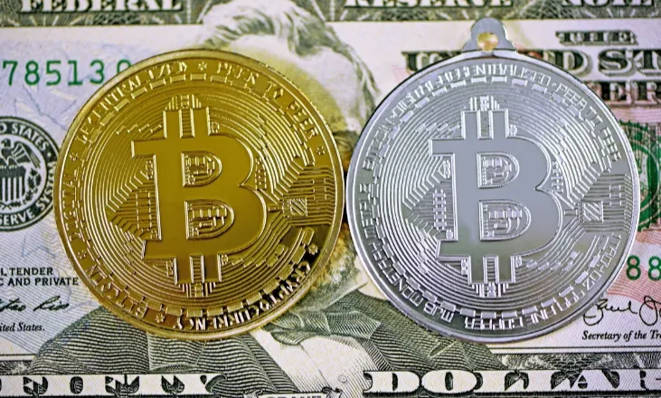 dolar-bic1