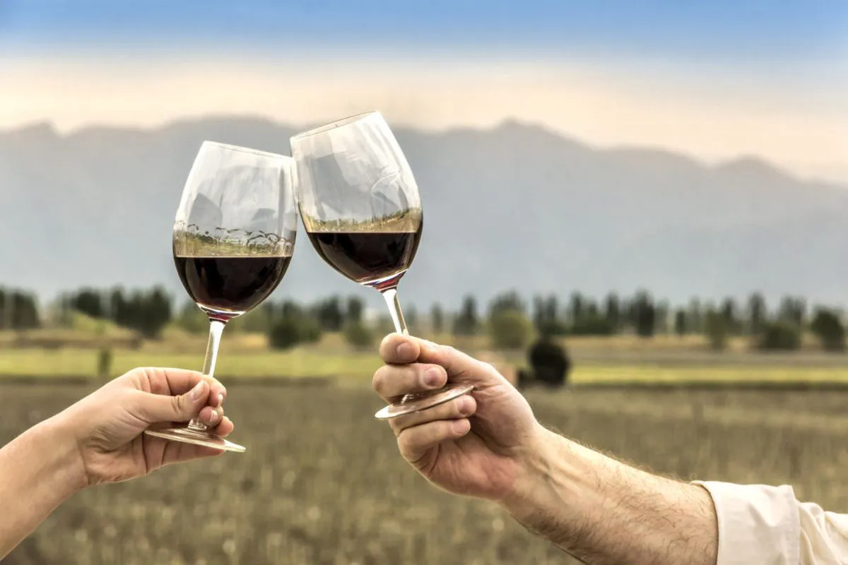 Bodegas-de-Argentina