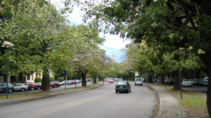 Avenida_Belgrano (1)