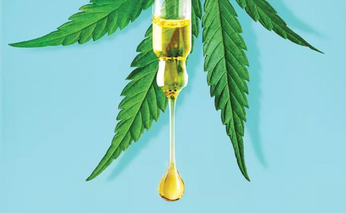 oleo_cannabis