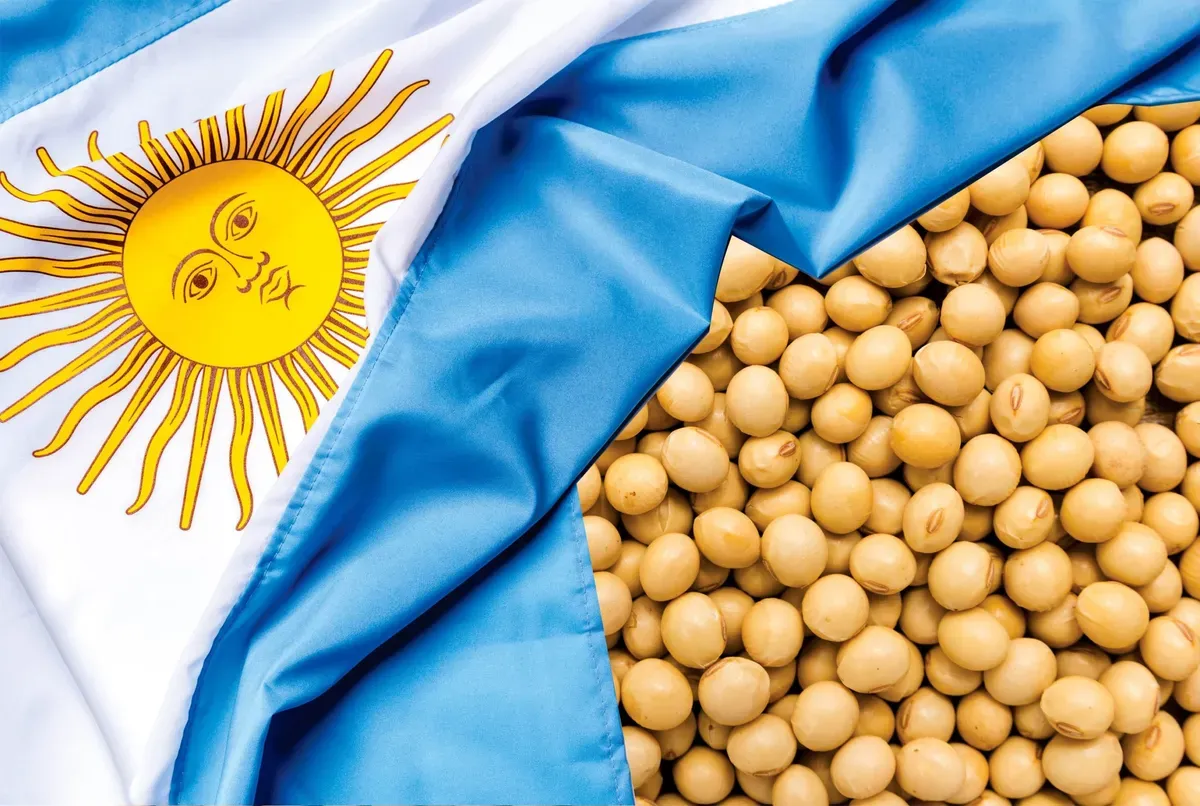 soja-bandera