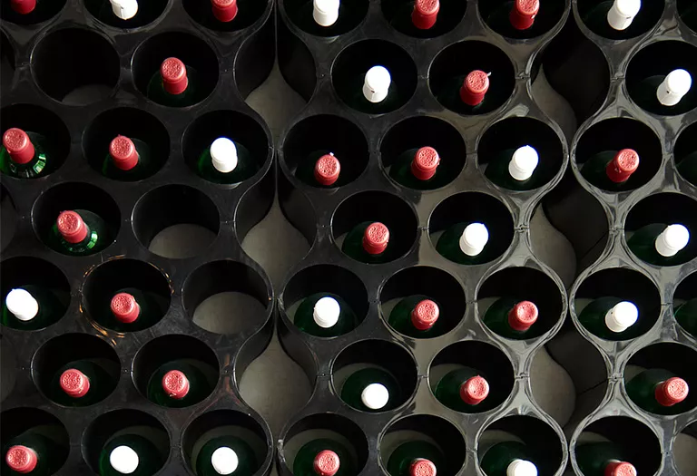 vinos-aprende-conservacion