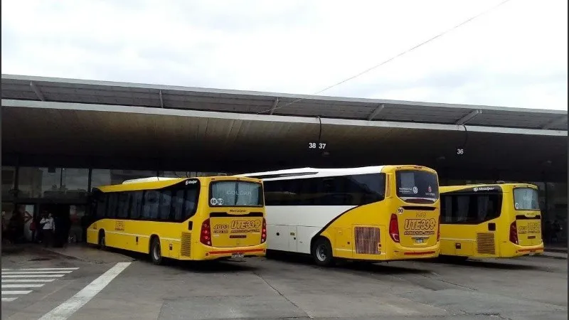 colectivos-interurbanos