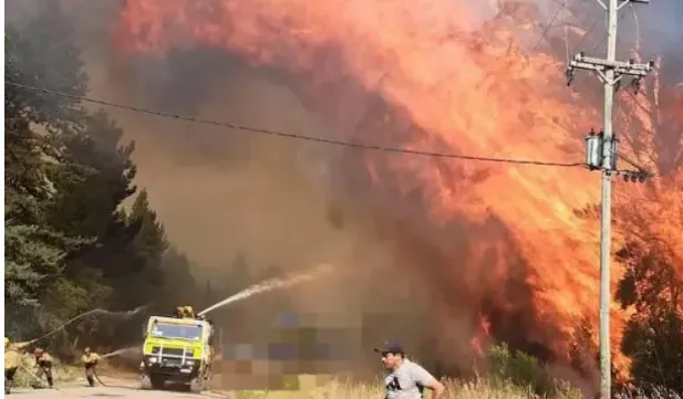 incendios-elbolson