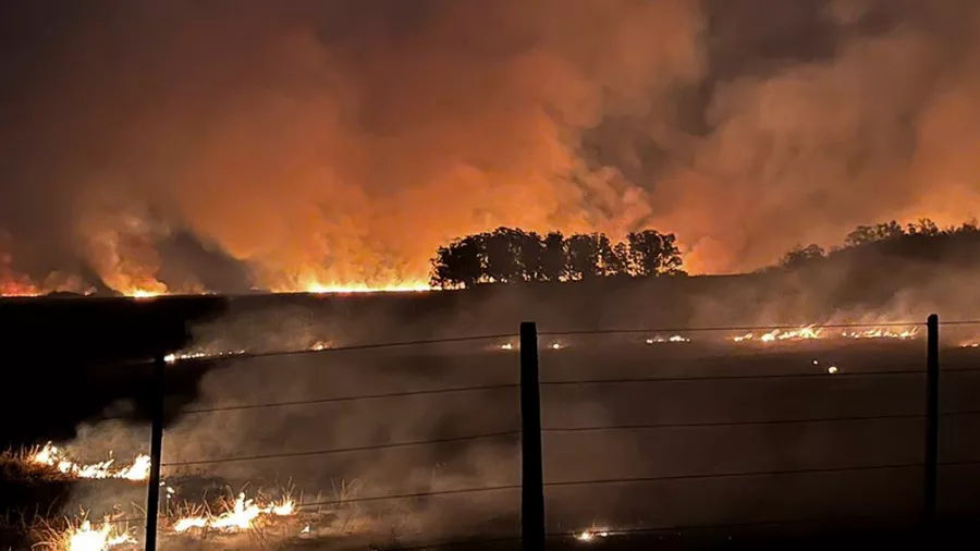 incendios-corrientes-inta