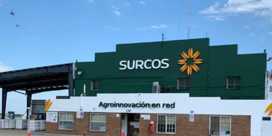 surcos