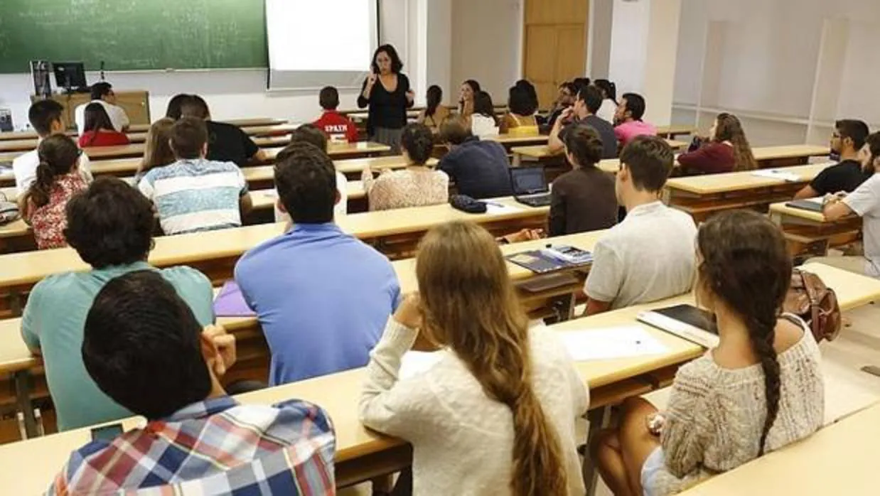 universitarios