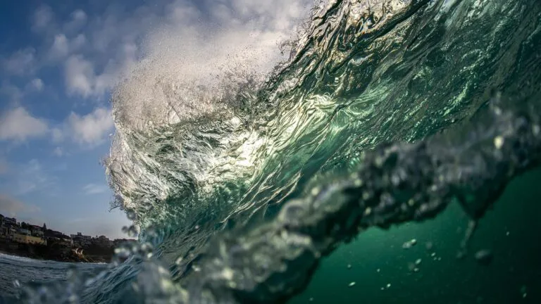 olas-mardel