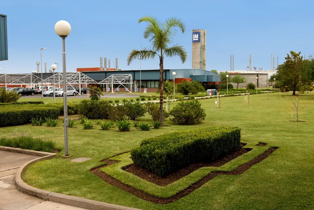gm-planta