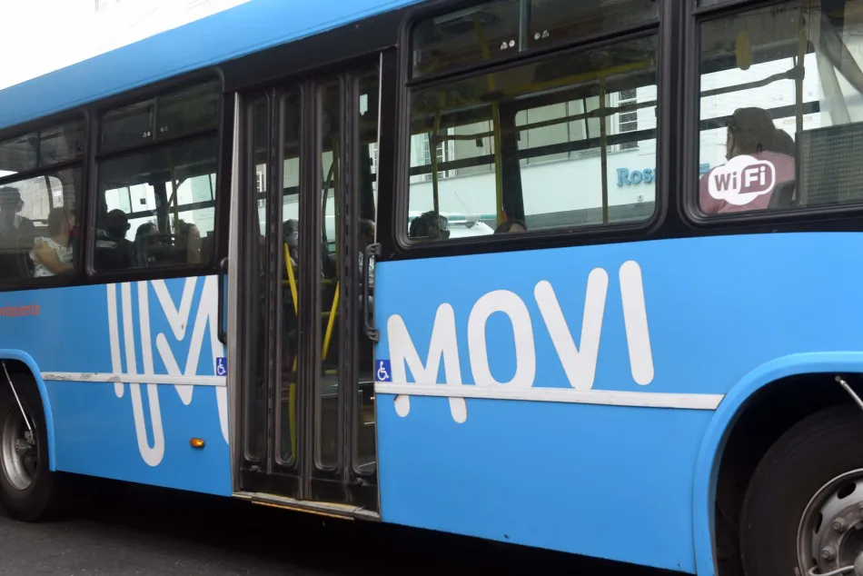 colectivo