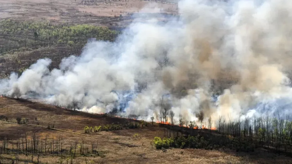 incendios-delta1