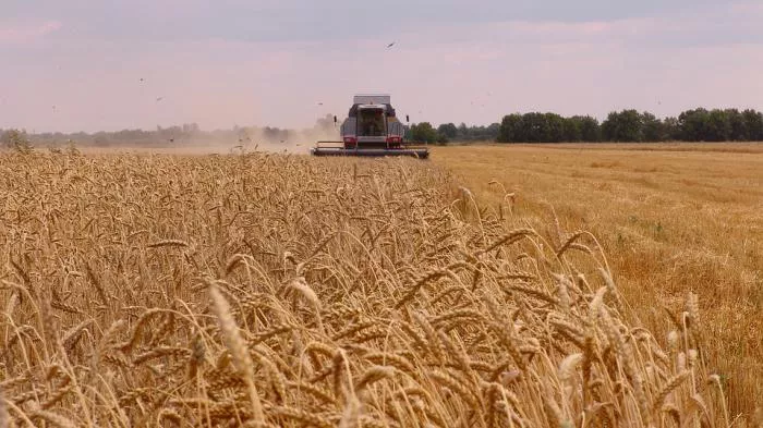 agrofy2
