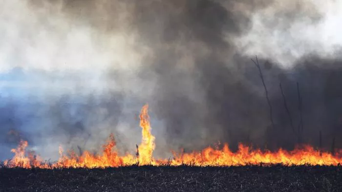 incendios2021