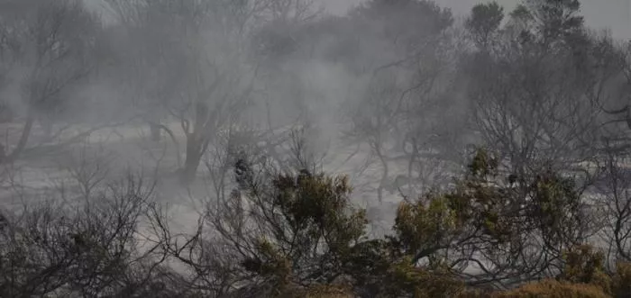 incendios-miramar