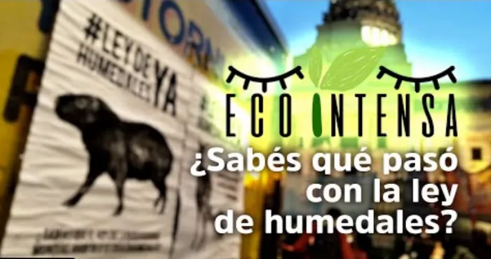 Captura de pantalla de 2022-03-08 02-10-42