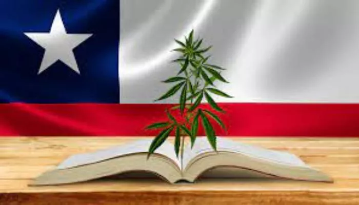 cannabis-chile