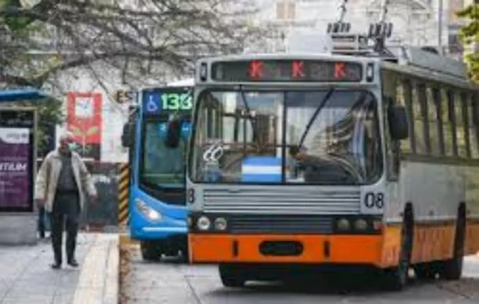 COLECTIVOS