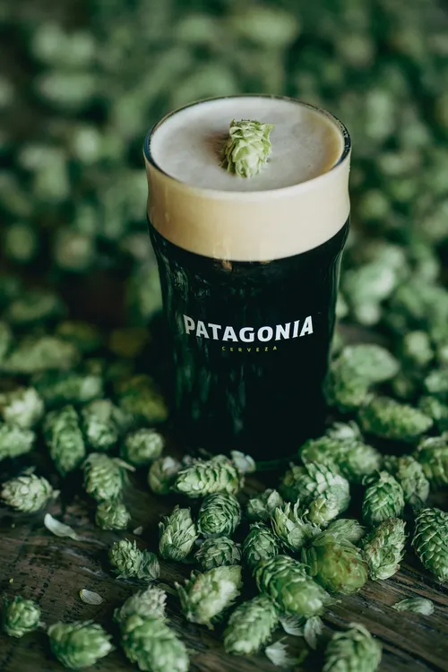 Black IPA, Cerveza Patagonia