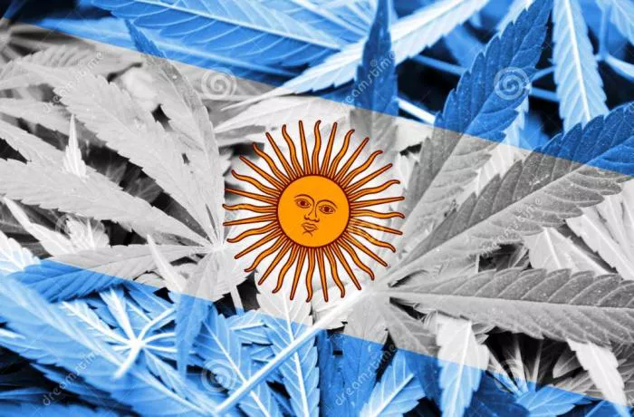 cannabis-bandera-de-argentina