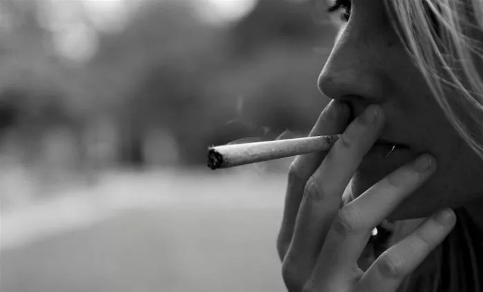 porro-fuman