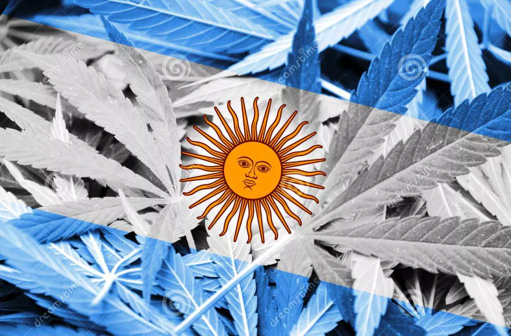 cannabis-bandera-de-argentina