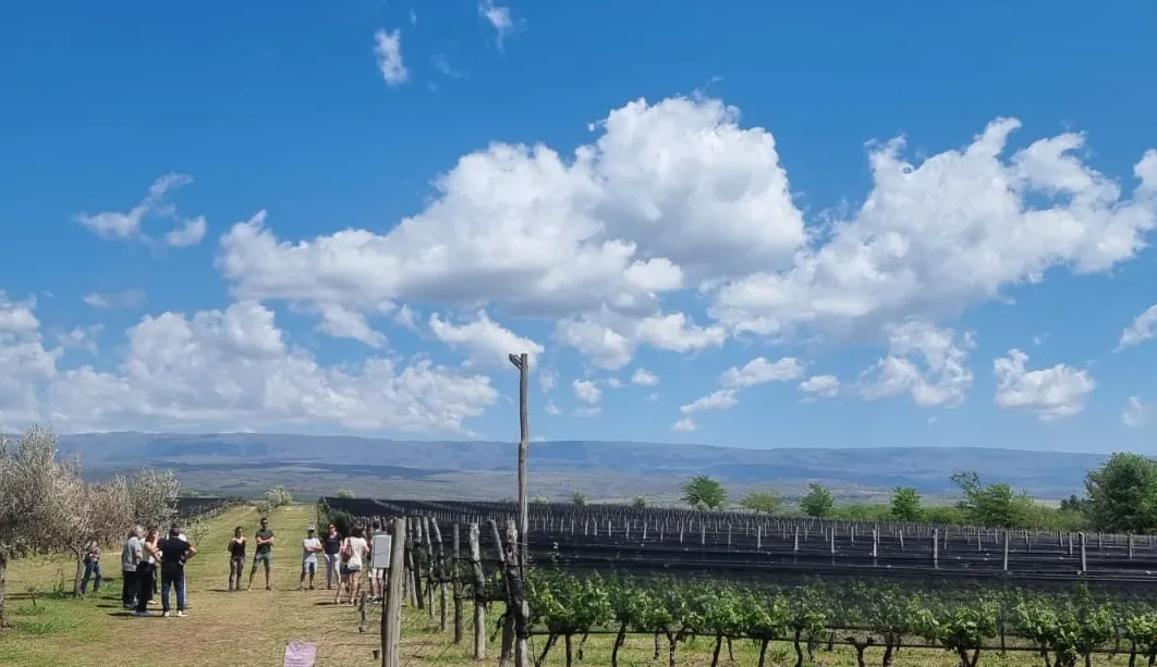 cordoba-vinos4