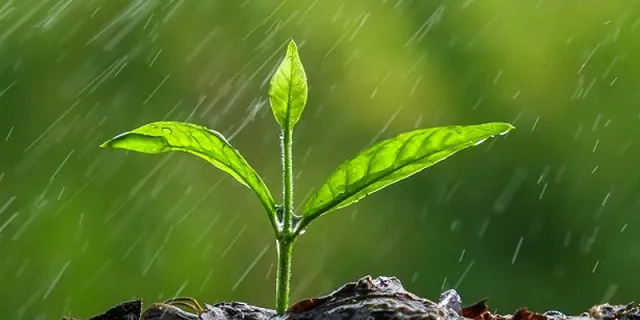 lluvias-siembra