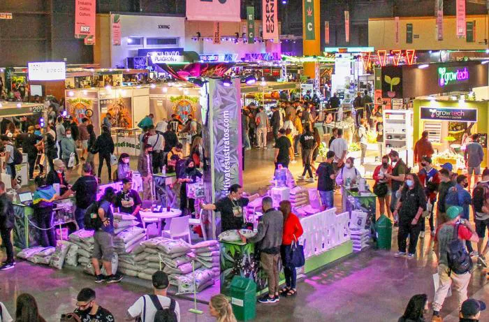 expo-cannabis-caba