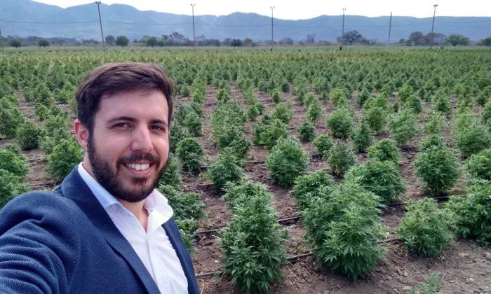 cannabis-medicinal