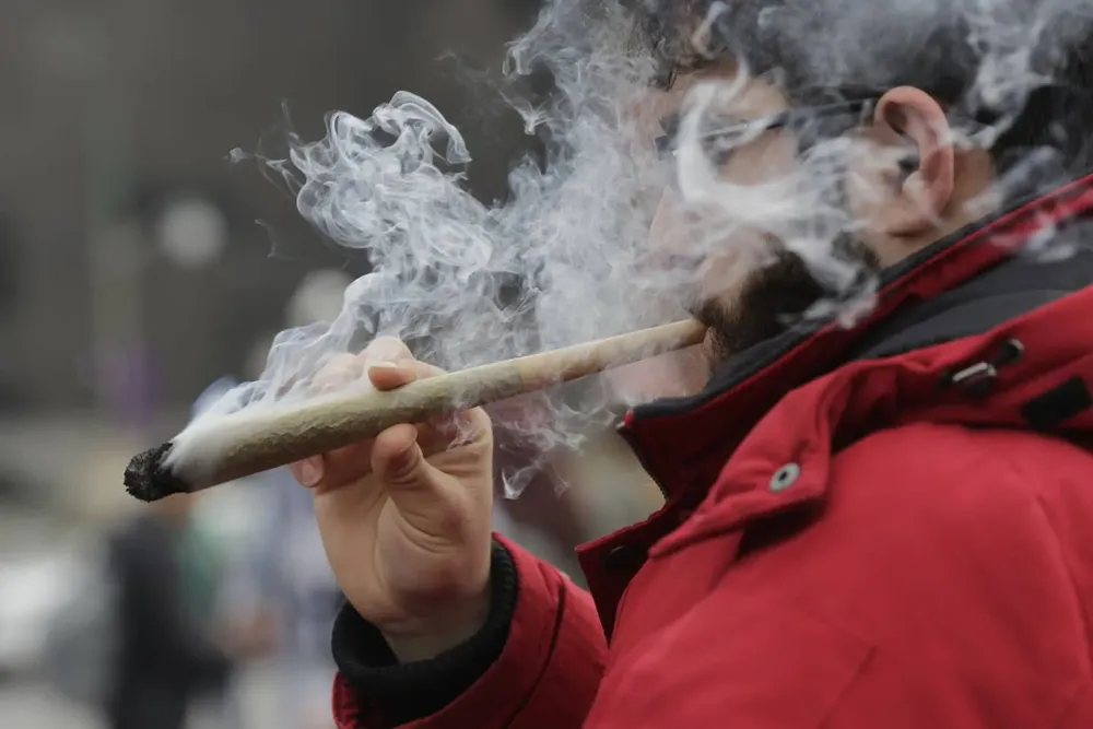 cannabis-faso