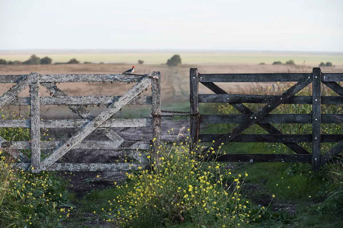 campo-tranquera