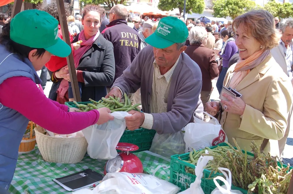 cooperativas-trabajo