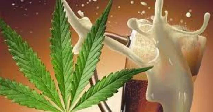 cerveza-cannabica