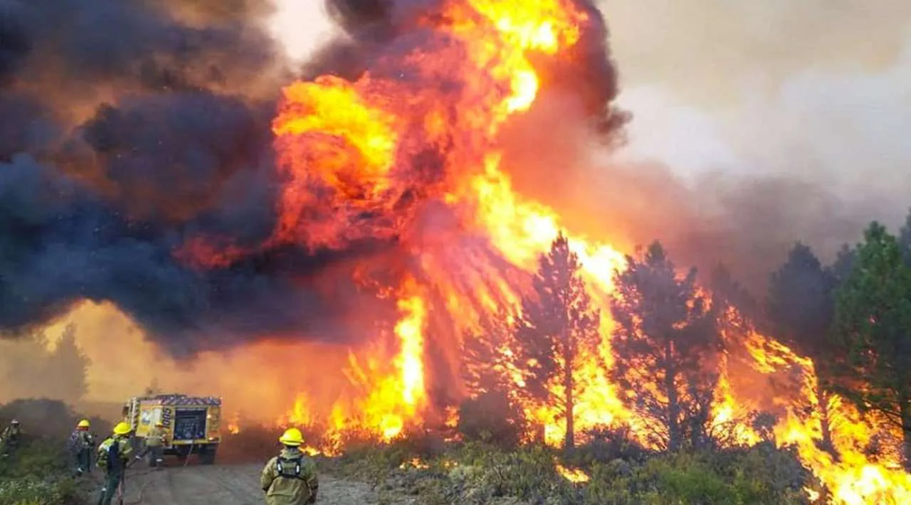 incendios2
