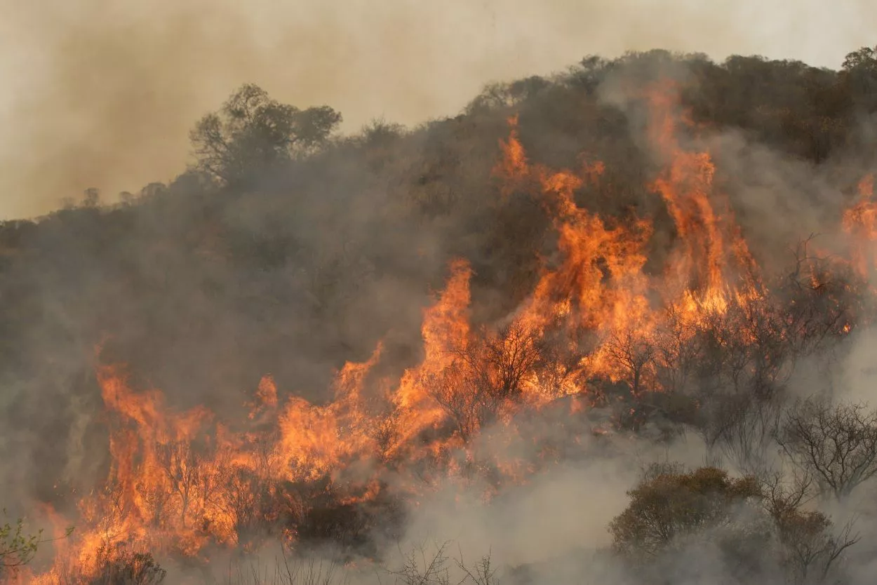 incendios-puente