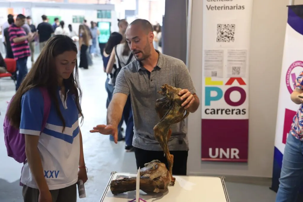 Expocarreras-2-1024x683