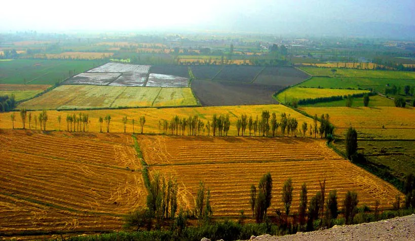 Tierras-hectareas