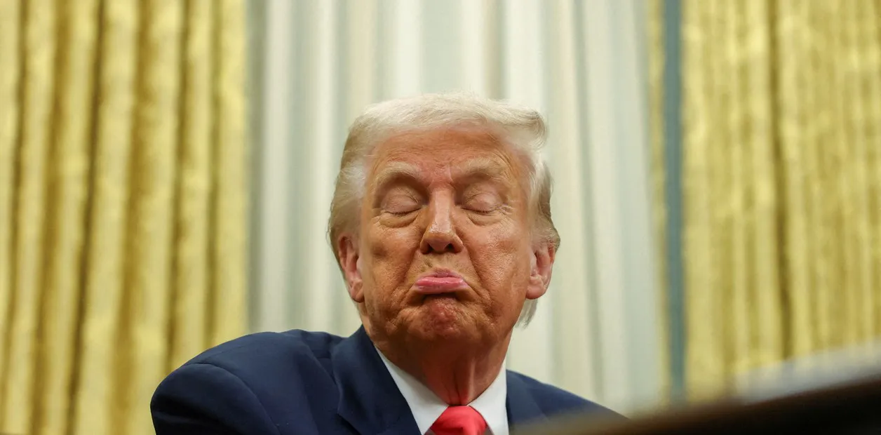 trump-estupidos
