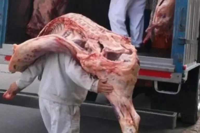 carnes-troceadas